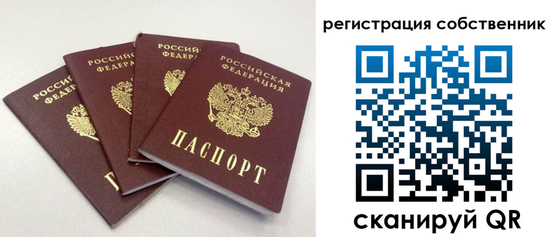 прописка для школы в Белой Холунице